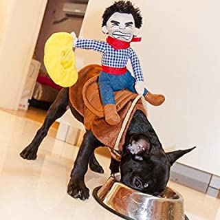 Disfraz divertido para perro de Halloween- chubasquero (pequeño)